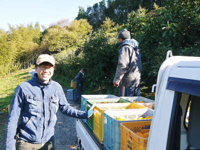 ザ・みかん お待たせしました!大人気の晩生(おくて)みかん「金峰」「青島」の販売をスタートしました!_a0254656_17424742.jpg