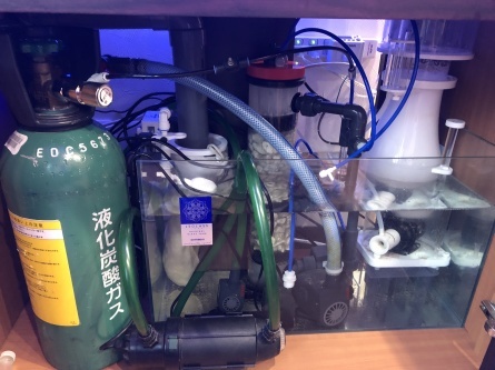 1/24 店長日記_e0173381_19074765.jpg