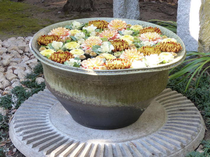 行田八幡神社にて初の花手水_f0296312_18093860.jpg