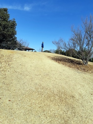 今年初のウォーキング_f0129726_15140258.jpg