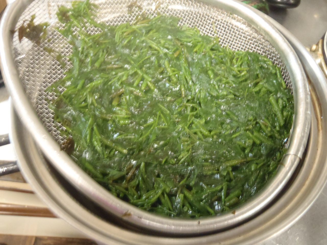 銀葉草 ぎばさ じばさ アカモク 化石部の父