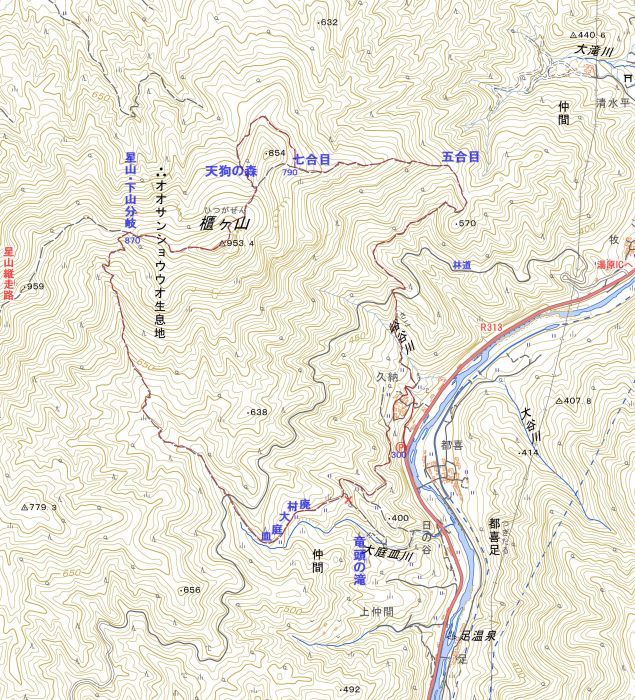 みちくさおじさん山を歩く みちくさおじさん山を歩く