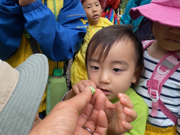 青空ようちえん〔週末〕親子で山のぼりに挑戦（1/23）てっぺんを目指して、2歳から一緒にチャレンジしました！　 #山登り #名護岳_d0363878_01560224.jpg