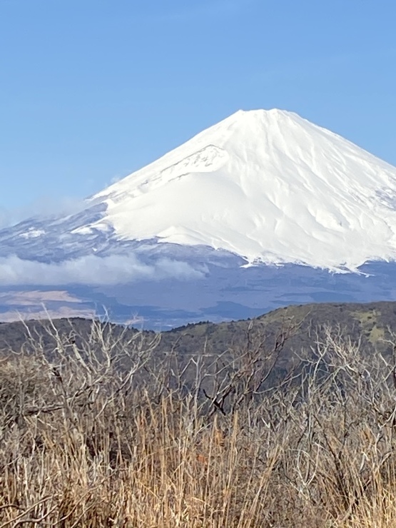 2021年1月25日　難しい_b0098584_19390844.jpeg