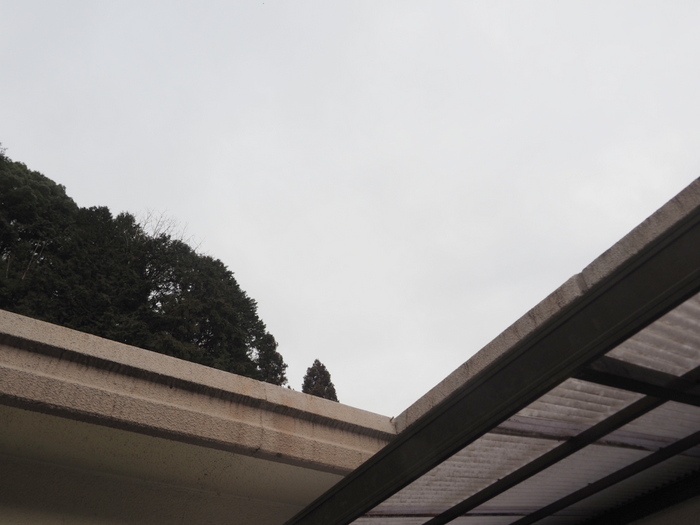 曇りのち雨_c0116915_23325426.jpg