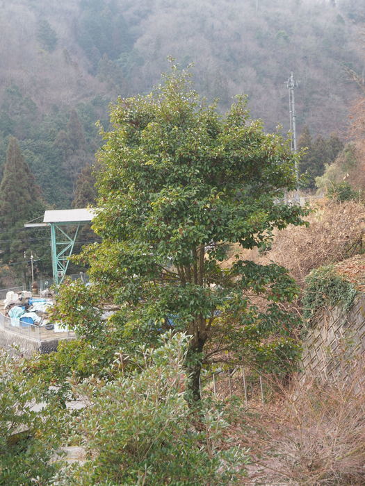 曇りのち雨_c0116915_23351318.jpg