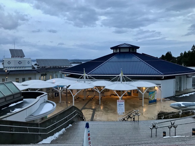 寂しがりのイルカ。──「のとじま水族館」(冬の北陸ドライブ旅行 その10)_d0352022_18284948.jpg