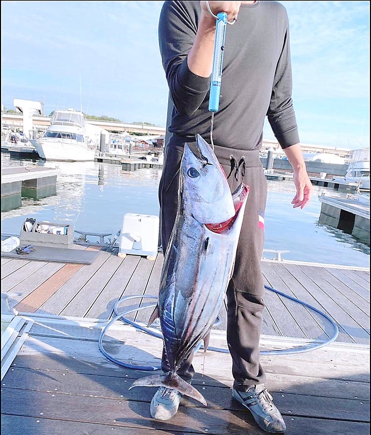 でかい10キロのカツオの写真 ビッグゲームルアーズ 最新オフショアブログ カジキトローリング でかい10キロのカツオの写真 ビッグゲームルアーズ 最新オフショアブログ カジキトローリング