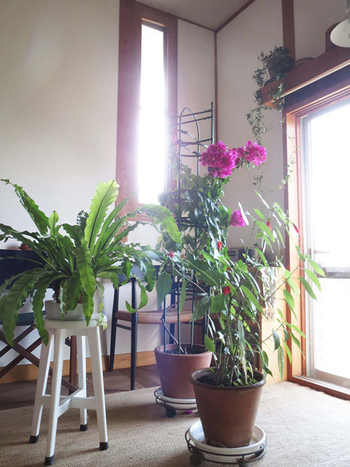 Ipfueasewismsm Ipfueasewismsm