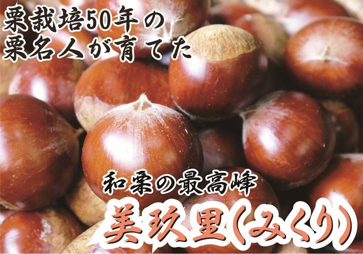 令和3年の栗名人の『美玖里(みくり)』の販売に向け、現在の様子を現地取材(剪定後の様子)_a0254656_17070583.jpg