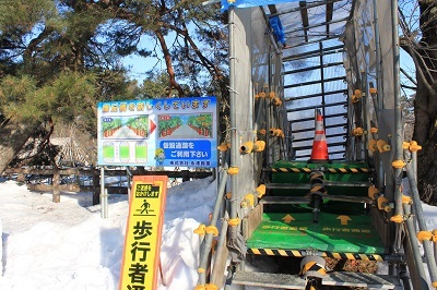 弘前公園冬さんぽ_2021.01.25撮影_d0131668_11504490.jpg