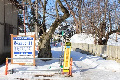 弘前公園冬さんぽ_2021.01.25撮影_d0131668_11533407.jpg