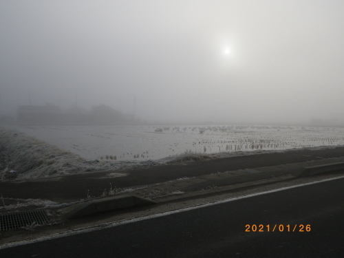 にぎやかな田んぼ_e0290580_21012012.jpg