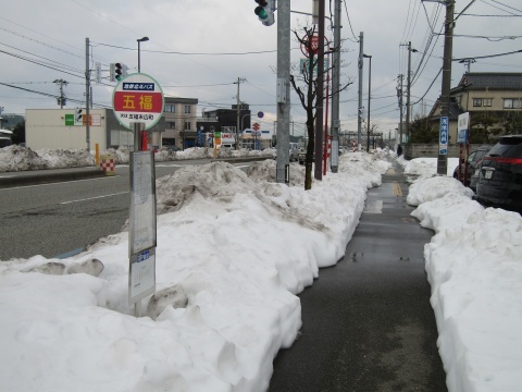 大雪の後始末_f0281398_21362154.jpg