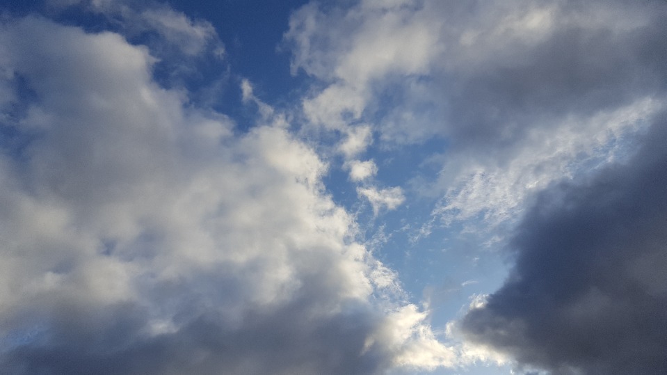雨上がりの…_f0126121_11223194.jpg