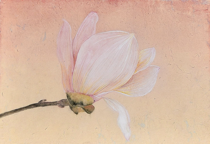 【須波葵枝 日本画展〜はるをまつ】_a0017350_00565605.jpg