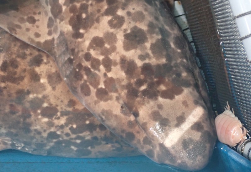 竹島水族館スタッフブログ