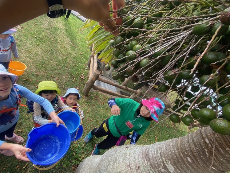 青空ようちえん〔平日〕公園を抜けていろいろな木の実や葉っぱで遊び、海辺ではウミガメにも出会った!(1/27) #中城村 #幼児_d0363878_19375872.jpg