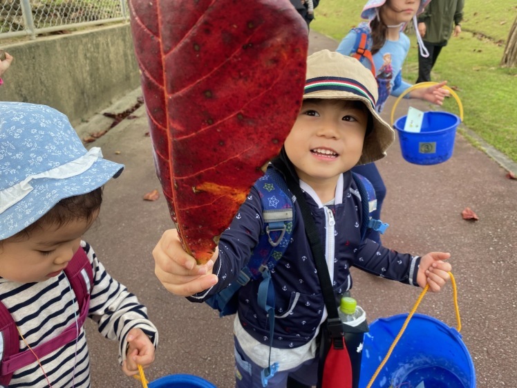 青空ようちえん〔平日〕公園を抜けていろいろな木の実や葉っぱで遊び、海辺ではウミガメにも出会った!(1/27) #中城村 #幼児_d0363878_19384114.jpg