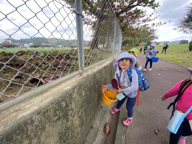 青空ようちえん〔平日〕公園を抜けていろいろな木の実や葉っぱで遊び、海辺ではウミガメにも出会った!(1/27) #中城村 #幼児_d0363878_19384152.jpg