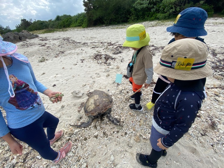 青空ようちえん〔平日〕公園を抜けていろいろな木の実や葉っぱで遊び、海辺ではウミガメにも出会った!(1/27) #中城村 #幼児_d0363878_19402274.jpg