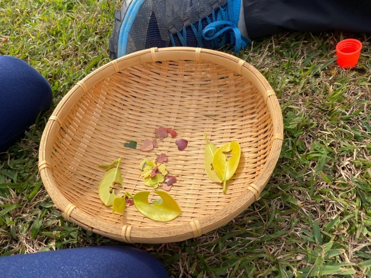 青空ようちえん〔平日〕公園を抜けていろいろな木の実や葉っぱで遊び、海辺ではウミガメにも出会った!(1/27) #中城村 #幼児_d0363878_19411274.jpg