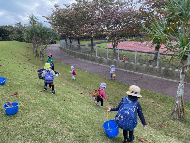 青空ようちえん〔平日〕公園を抜けていろいろな木の実や葉っぱで遊び、海辺ではウミガメにも出会った!(1/27) #中城村 #幼児_d0363878_19411299.jpg