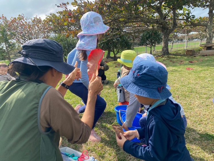 青空ようちえん〔平日〕公園を抜けていろいろな木の実や葉っぱで遊び、海辺ではウミガメにも出会った!(1/27) #中城村 #幼児_d0363878_19420437.jpg