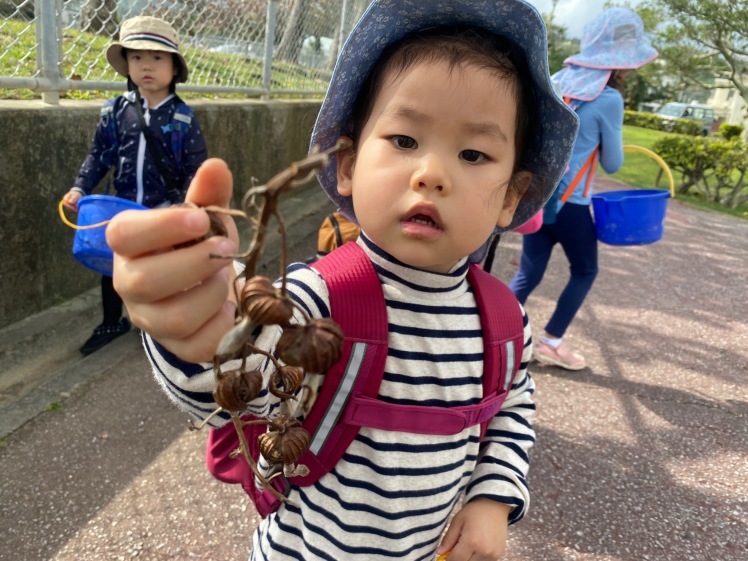 青空ようちえん〔平日〕公園を抜けていろいろな木の実や葉っぱで遊び、海辺ではウミガメにも出会った!(1/27) #中城村 #幼児_d0363878_19420448.jpg