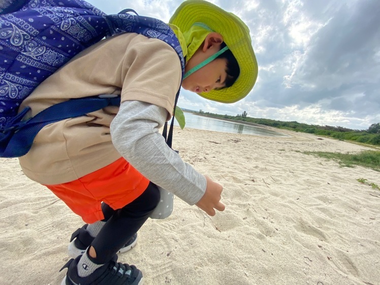 青空ようちえん〔平日〕公園を抜けていろいろな木の実や葉っぱで遊び、海辺ではウミガメにも出会った!(1/27) #中城村 #幼児_d0363878_19430345.jpg