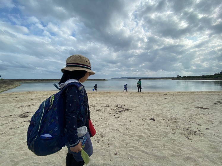 青空ようちえん〔平日〕公園を抜けていろいろな木の実や葉っぱで遊び、海辺ではウミガメにも出会った!(1/27) #中城村 #幼児_d0363878_19430401.jpg