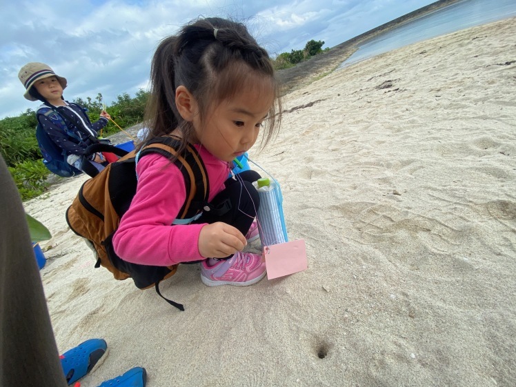 青空ようちえん〔平日〕公園を抜けていろいろな木の実や葉っぱで遊び、海辺ではウミガメにも出会った!(1/27) #中城村 #幼児_d0363878_19430423.jpg