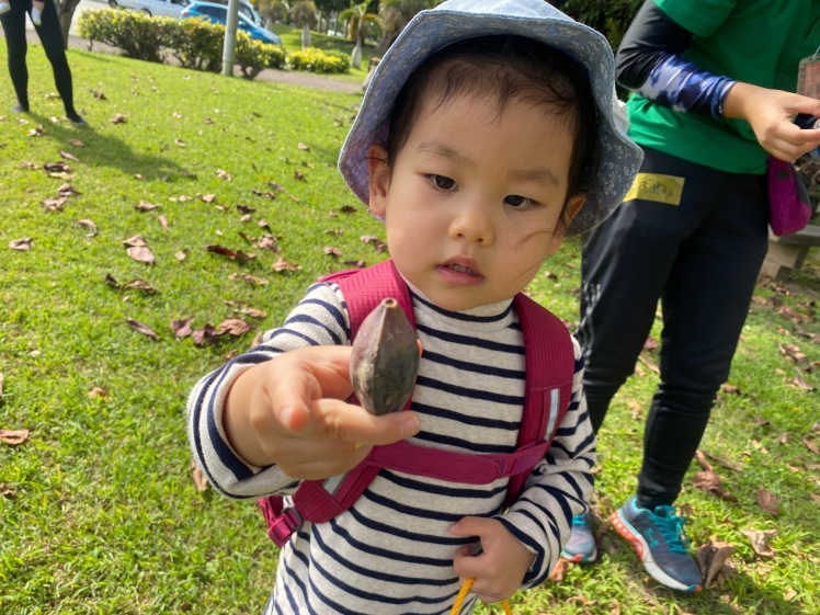 青空ようちえん〔平日〕公園を抜けていろいろな木の実や葉っぱで遊び、海辺ではウミガメにも出会った!(1/27) #中城村 #幼児_d0363878_19440341.jpg