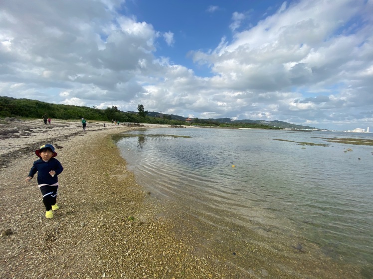 青空ようちえん〔平日〕公園を抜けていろいろな木の実や葉っぱで遊び、海辺ではウミガメにも出会った!(1/27) #中城村 #幼児_d0363878_19445940.jpg