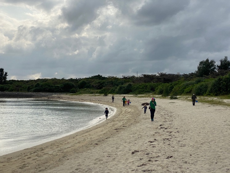 青空ようちえん〔平日〕公園を抜けていろいろな木の実や葉っぱで遊び、海辺ではウミガメにも出会った!(1/27) #中城村 #幼児_d0363878_19450156.jpg