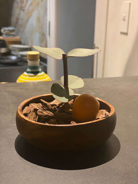 金沢 笠市町 Origo オリゴ イタリアンで誕生日ディナー きわめればスカタン 金沢 笠市町 Origo オリゴ イタリアンで誕生日ディナー きわめればスカタン