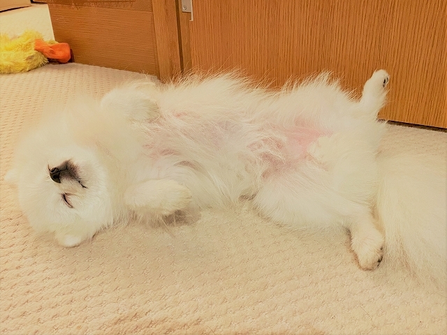 点滴中もリラックス_d0360206_18594644.jpg