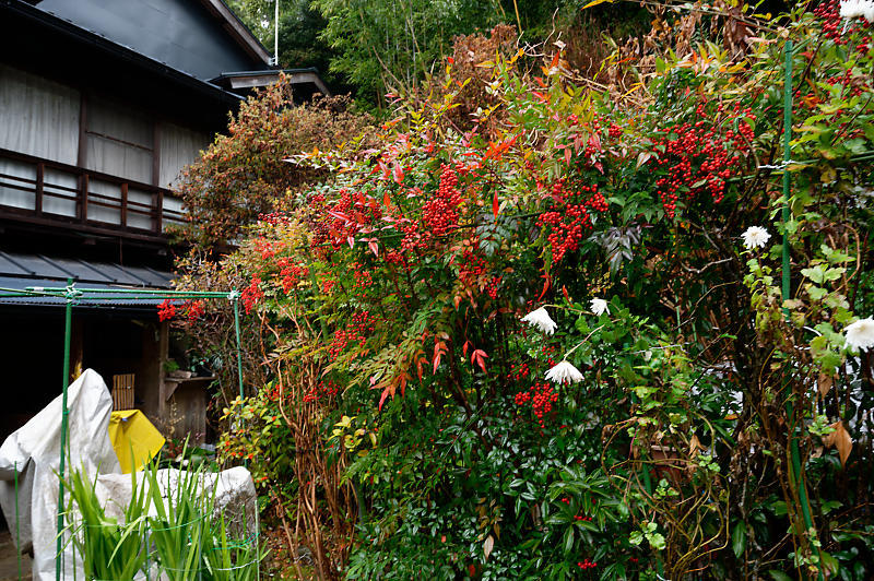 雨の日散歩@伏見稲荷神社　其の二_f0032011_20010079.jpg