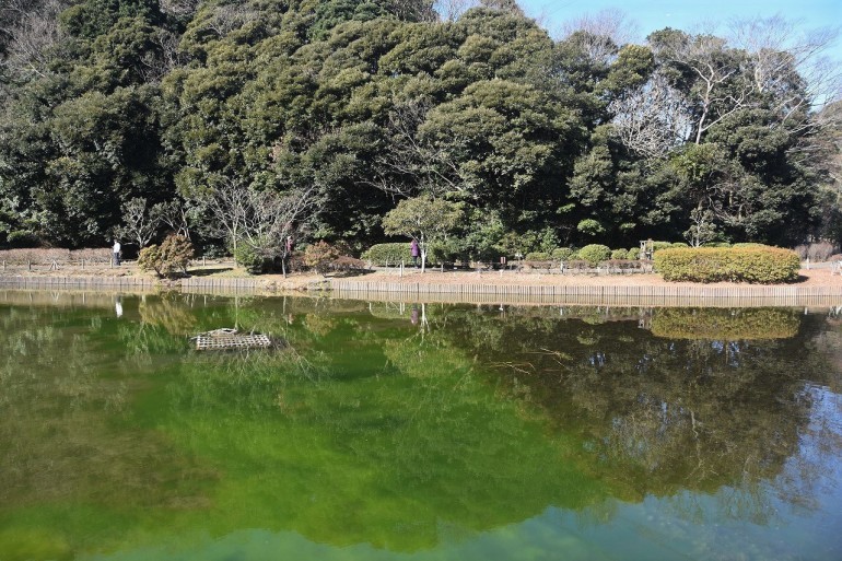 光の丘水辺公園 ひだまりの水辺 素顔のままで