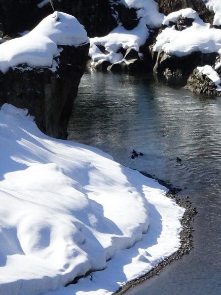 雪解けの川を渡る 北陸民放クラブ 石川ブログ