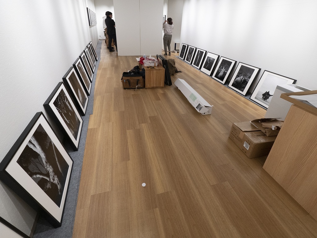 写真展はスタッフのみんなと造り上げるもの_f0050534_17231189.jpg