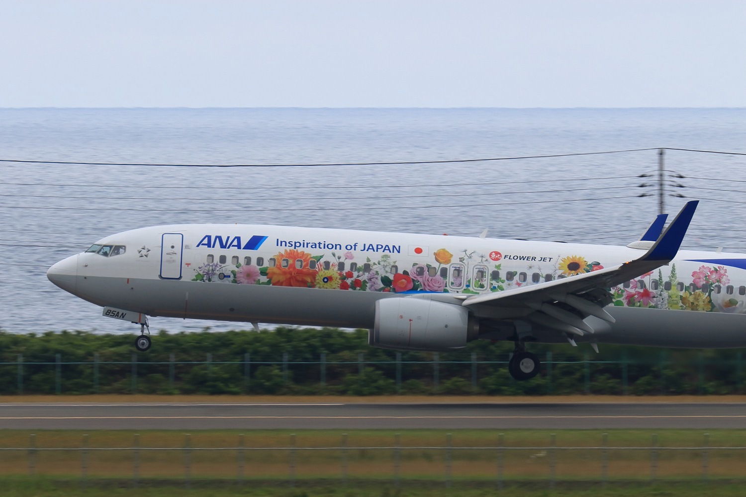曇天に花を咲かせましょう 37 全日空 Nh 飛行機の虜 曇天に花を咲かせましょう 37 全日空 Nh 飛行機の虜
