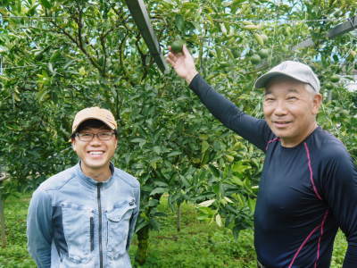 究極の柑橘「せとか」 令和3年の先行予約受付スタート!後編:小春農園の『せとか』の美味しさの秘密!_a0254656_17132651.jpg