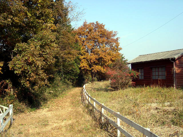 里山と物原_d0085887_09593176.jpg