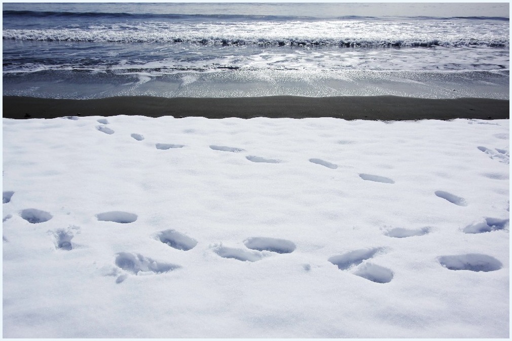 江の島・雪景色_c0352813_16195002.jpg