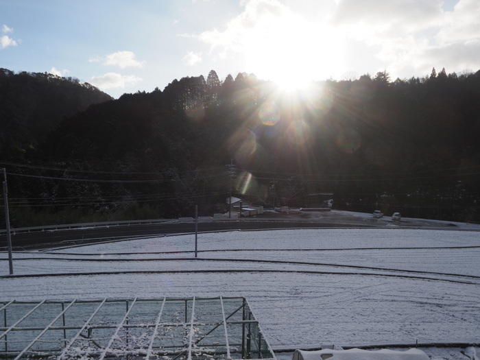 薄っすら雪景色_c0116915_23213736.jpg