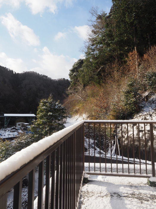 薄っすら雪景色_c0116915_23224014.jpg