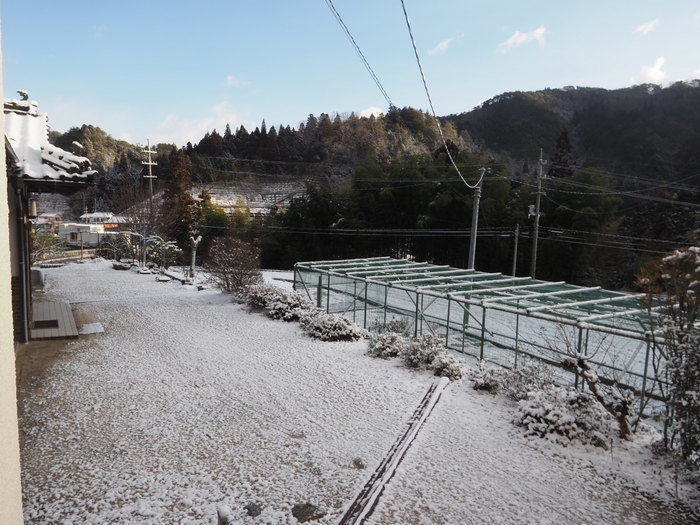 薄っすら雪景色_c0116915_23234519.jpg