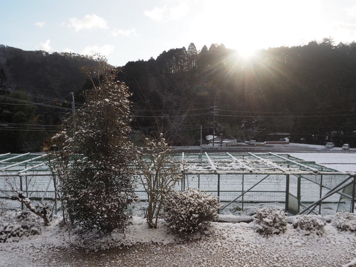 薄っすら雪景色_c0116915_23235767.jpg