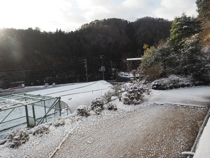薄っすら雪景色_c0116915_23242219.jpg